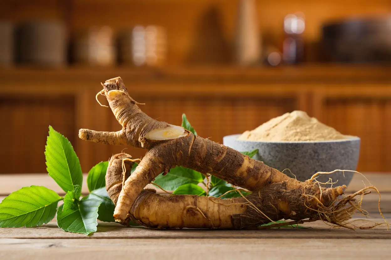 Ginseng adaptogène : bienfaits et vertus en phytothérapie