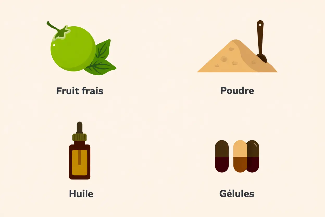 Formes d'utilisation de l'amla